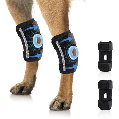 IntiMeg Genouillères de protection pour les pattes de chiens