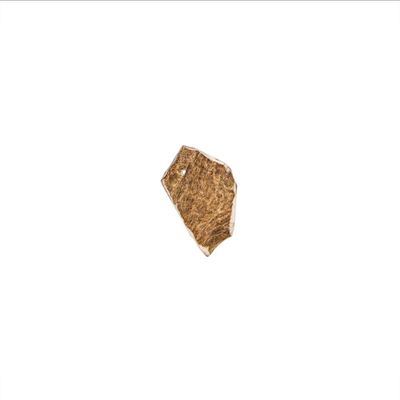 A PET STORE – Bois de daim - Mastication longue pour chien