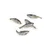 A PET STORE - Poissons - Gardon A PET STORE - Poissons - Gardon