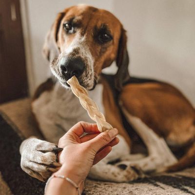 Tresses de bison – Mini mastication gourmande pour chiens