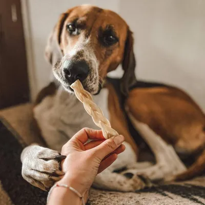 Tresses de bison – Mini mastication gourmande pour chiens