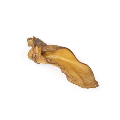 Oreilles de boeuf – Mastication gourmande pour chiens