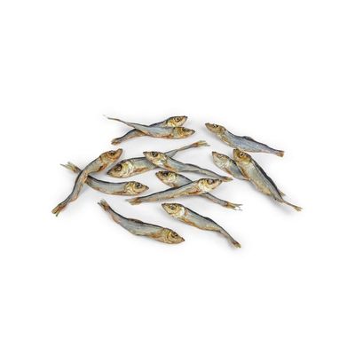 A PET STORE –  Petits poissons – Hareng 100g