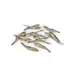 A PET STORE – Petits poissons – Hareng 100g