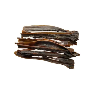 Peau de chameau 35cm – Mastication gourmande XXL pour chiens Peau de chameau 35cm – Mastication gourmande XXL pour chiens
