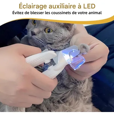 ZooVenture LED lime dissimulée ciseaux pour chat et chien