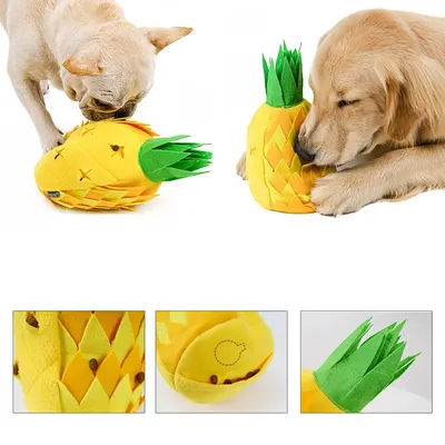 FurryFusion Jouet en forme d'ananas pour chien