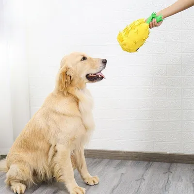FurryFusion Jouet en forme d'ananas pour chien
