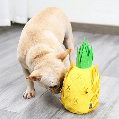 FurryFusion Jouet en forme d'ananas pour chien