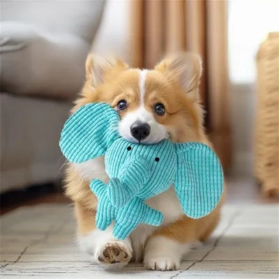 Pet Planet Jouet en peluche sonore pour chien