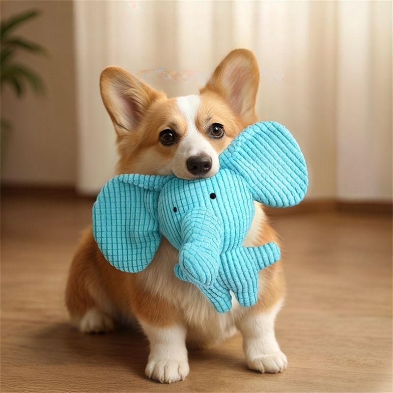 Pet Planet Jouet en peluche sonore pour chien