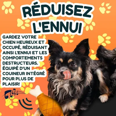 Générique Jouet à Mâcher Poulet Couinant pour Chien, 18 cm