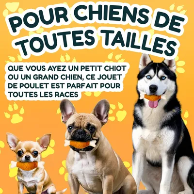 Générique Jouet à Mâcher Poulet Couinant pour Chien, 18 cm