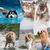 Petopia Serviette extra absorbante pour chien