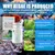 IntiMeg Nettoyant pour aquarium algicide