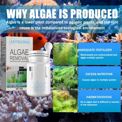 IntiMeg Nettoyant pour aquarium algicide