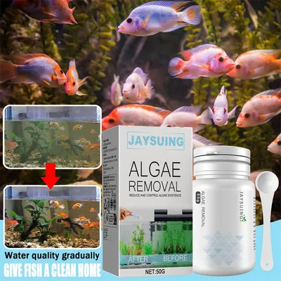 IntiMeg Nettoyant pour aquarium algicide