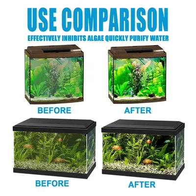 IntiMeg Nettoyant pour aquarium algicide