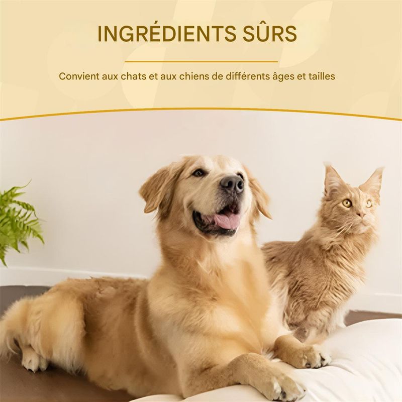 IntiMeg Supplément pour animaux Pet Care Serum