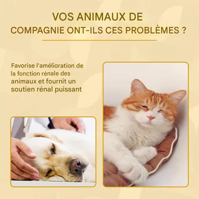 IntiMeg Supplément pour animaux Pet Care Serum