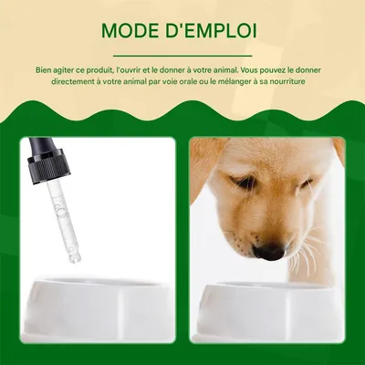 IntiMeg Supplément pour animaux Pet Care Serum