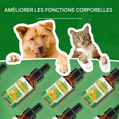 IntiMeg Supplément pour animaux Pet Care Serum