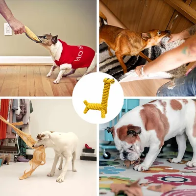 FurryFusion Jouet pour chien girafe en corde de coton