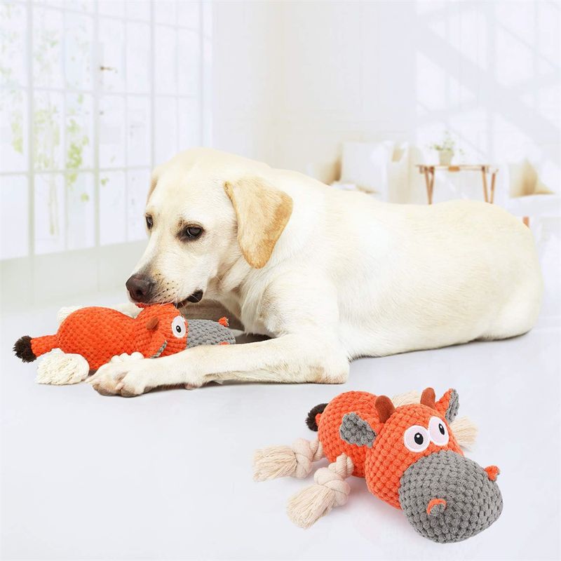 IntiMeg Jouet interactif en peluche pour le nettoyage des dents