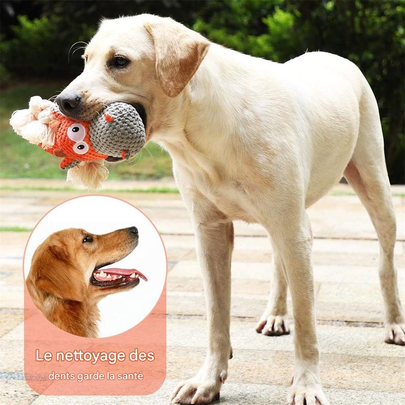 IntiMeg Jouet interactif en peluche pour le nettoyage des dents