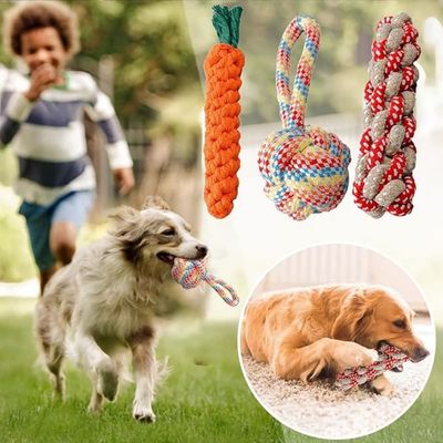 ZooVenture Nettoyage dents entraînement 3pcs jouets chien