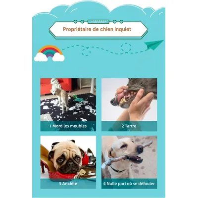Pet Planet ZooVenture Nettoyage dents entraînement 3pcs jouets chien