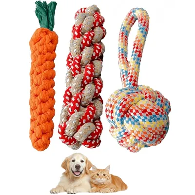 Pet Planet ZooVenture Nettoyage dents entraînement 3pcs jouets chien