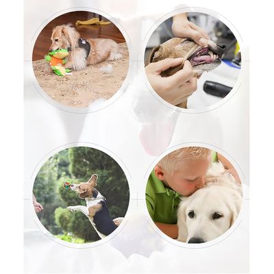 ZooVenture Nettoyage dents entraînement 3pcs jouets chien