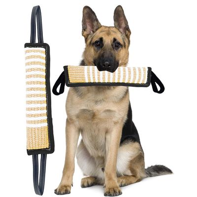 Pet Planet Corde de lin durable pour chien à mâcher