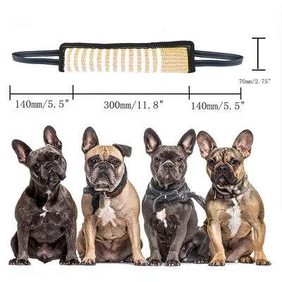 Pet Planet Jouet à tirage interactif pour chien
