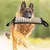 Pet Planet Jouet à tirage interactif pour chien