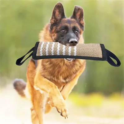 Pet Planet Jouet à tirage interactif pour chien