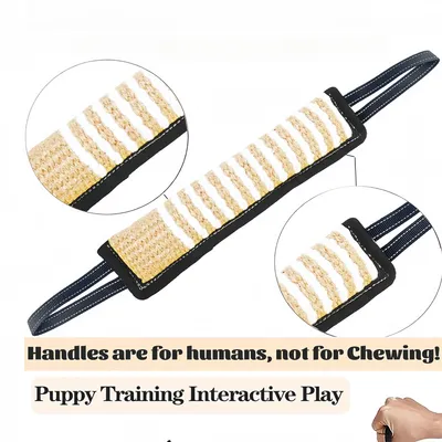 Pet Planet Jouet à tirage interactif pour chien