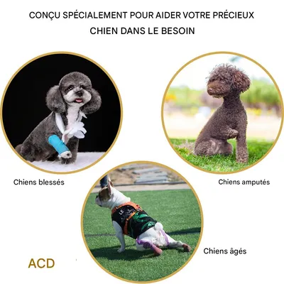 IntiMeg Harnais de levage pour chien