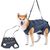 IntiMeg Harnais de levage pour chien