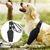 FurryFusion Protège - coude pour chien