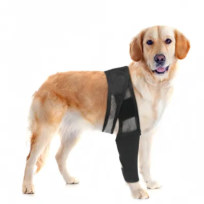 FurryFusion protector de codo para perros