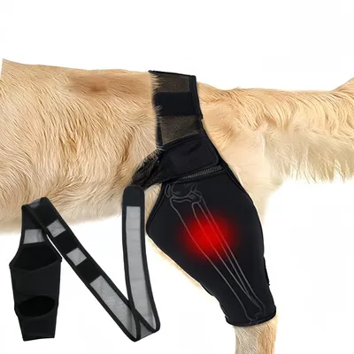 FurryFusion Protège - coude pour chien