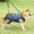 IntiMeg Harnais de levage pour chien