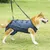 IntiMeg Harnais de levage pour chien
