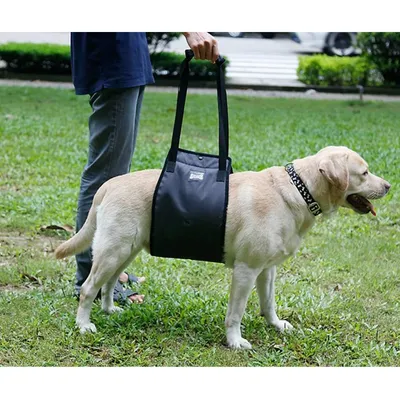 IntiMeg Harnais de levage pour chien