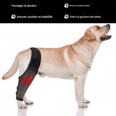 FurryFusion protector de codo para perros