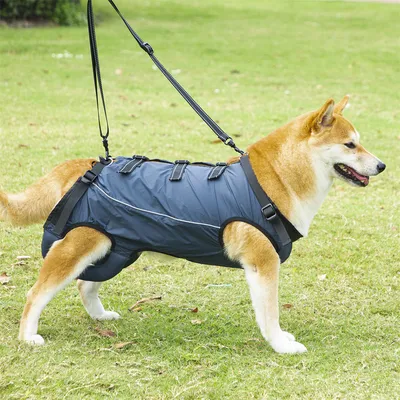 IntiMeg Harnais de levage pour chien