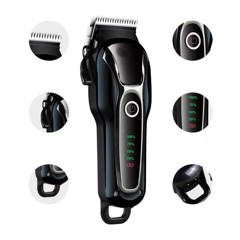 Tondeuse Chien Poil Long Epais Electrique sans Fil Kit