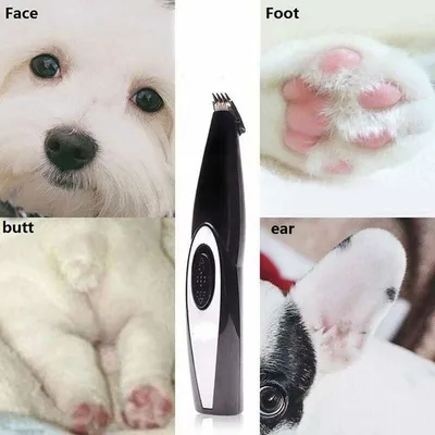 Tondeuse électrique pour Animal Domestique USB Rechargeable